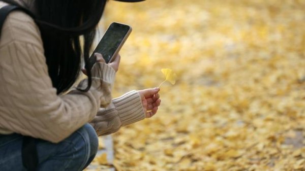 五五策略 11月8日0时36分将迎来立冬：作别深秋，拥抱冬阳