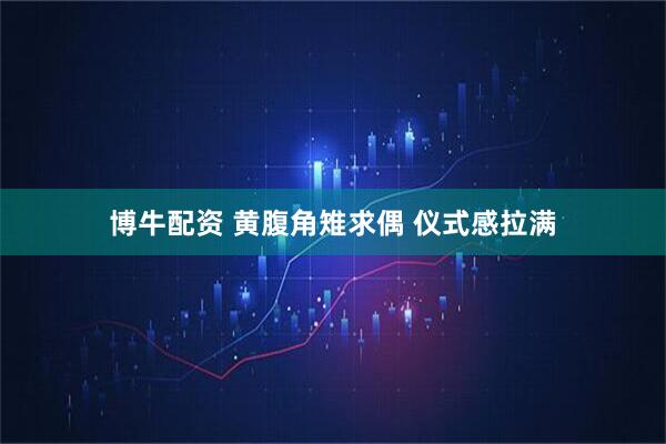 博牛配资 黄腹角雉求偶 仪式感拉满