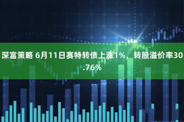 深富策略 6月11日赛特转债上涨1%，转股溢价率30.76%
