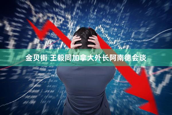 金贝街 王毅同加拿大外长阿南德会谈