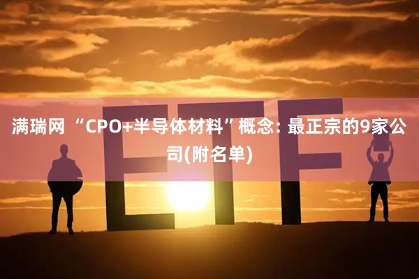 满瑞网 “CPO+半导体材料”概念: 最正宗的9家公司(附名单)